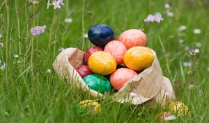 Easter Egg Hunt @ Memorial Park, Cupertino | Cupertino | California | United States